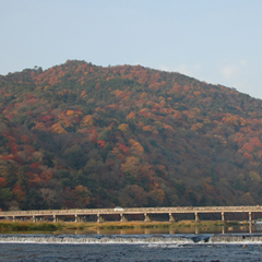 2010�H�E�g�t